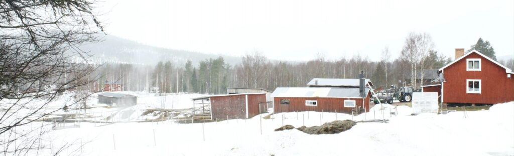 Ett landskap med snö, hus och bodar samt träd och en kulle i bakgrunden. 
