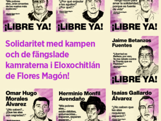 Illustrationer över de sju politiska fångar som sitter häktade. SAC står bakom och manar till solidaritet med våra kämpande kamrater i Eloxochitlán de Flores Magón i deras kamp för kamraternas frigivande.
