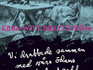 Omslagsbild till boken "Vi drabbade samman med vaåra öddens hela bredd" som är skriven av Ebba Witt-Brattström