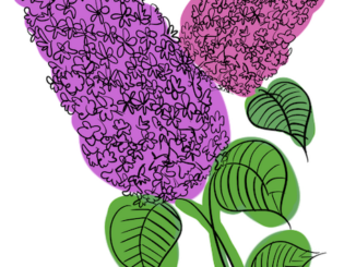Rosa och lila blomster med gröna blad.